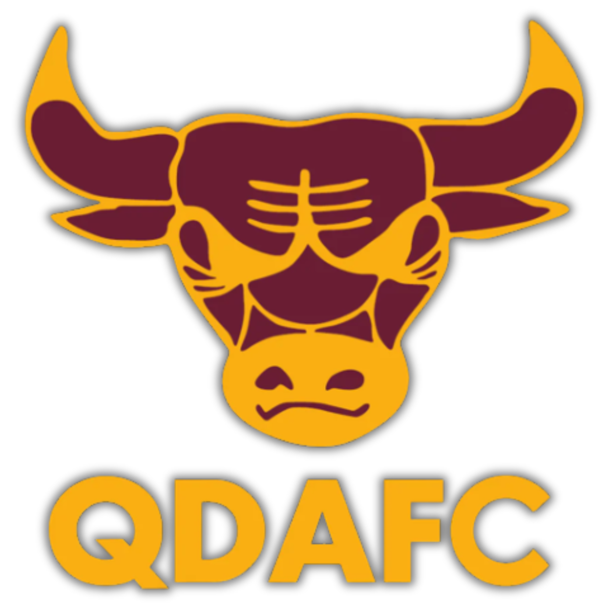Quinns District AFC