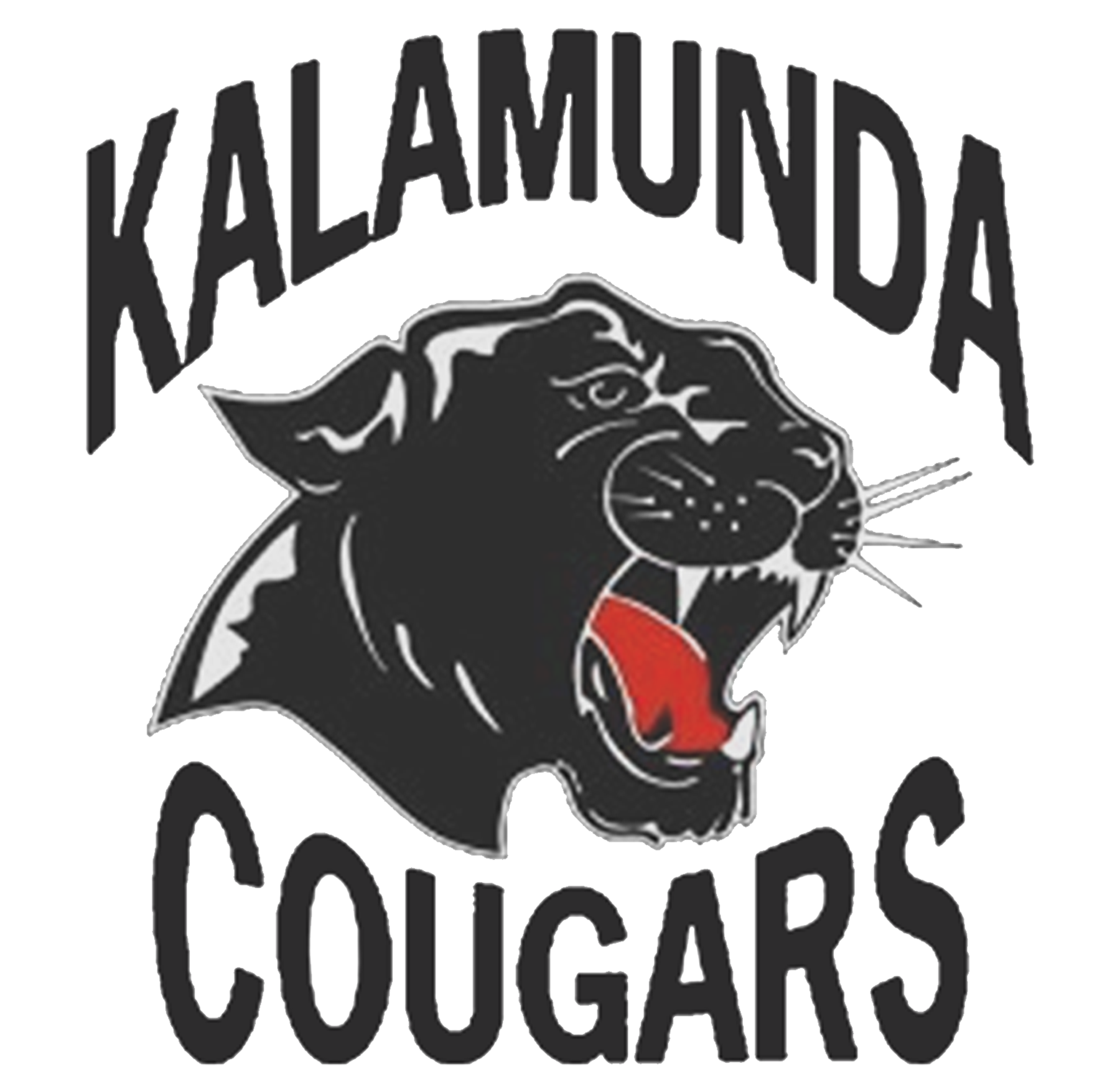 Kalamunda Football Club