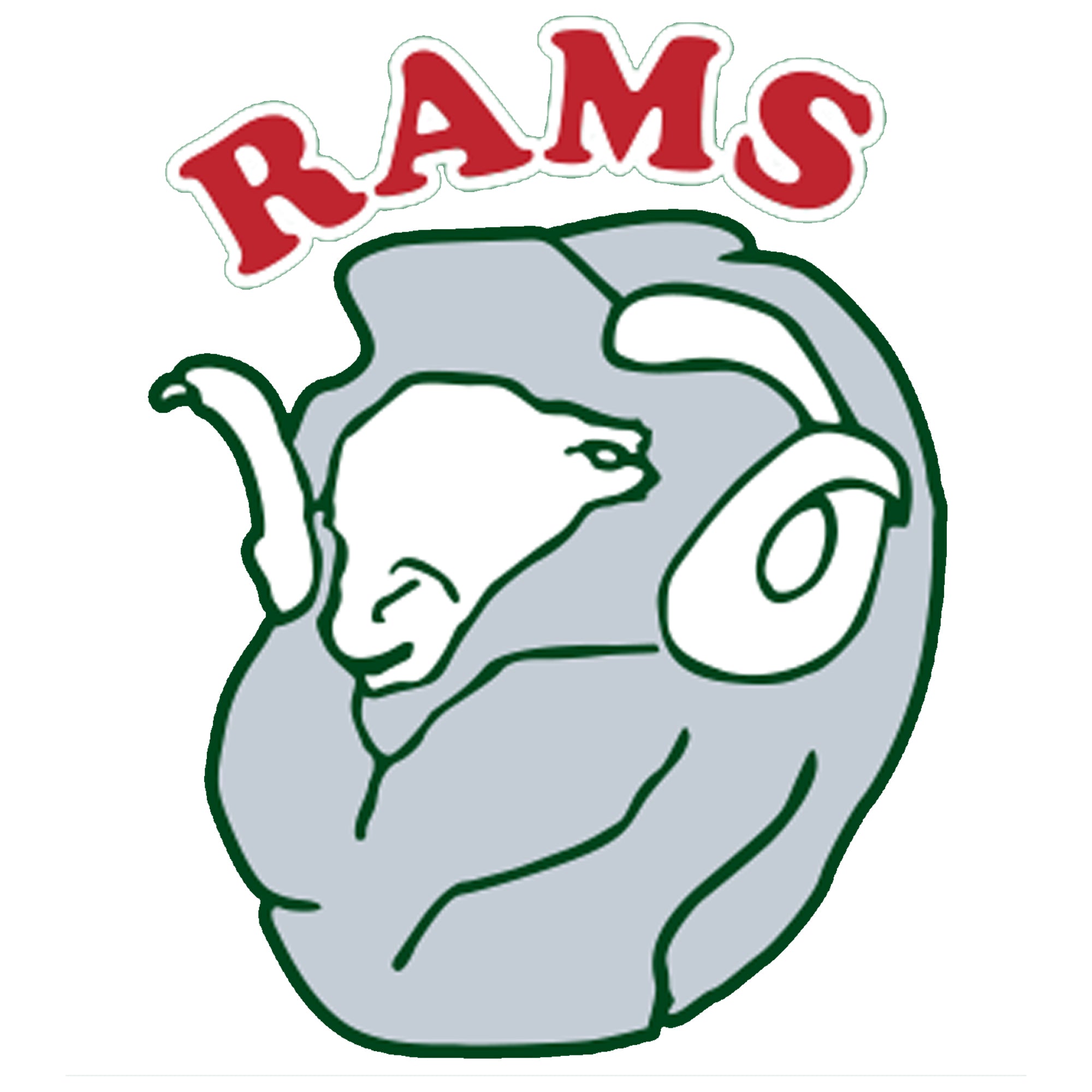 Virginia Football Club