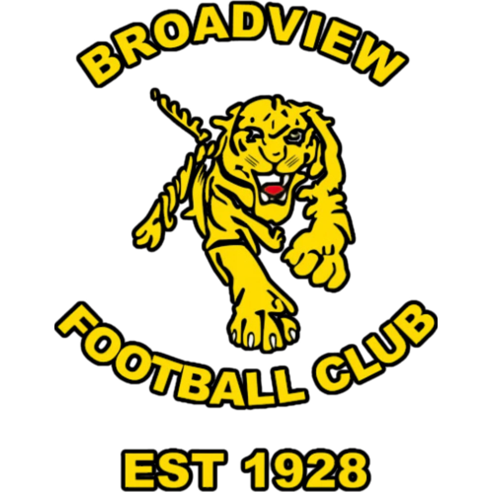 Broadview Football Club