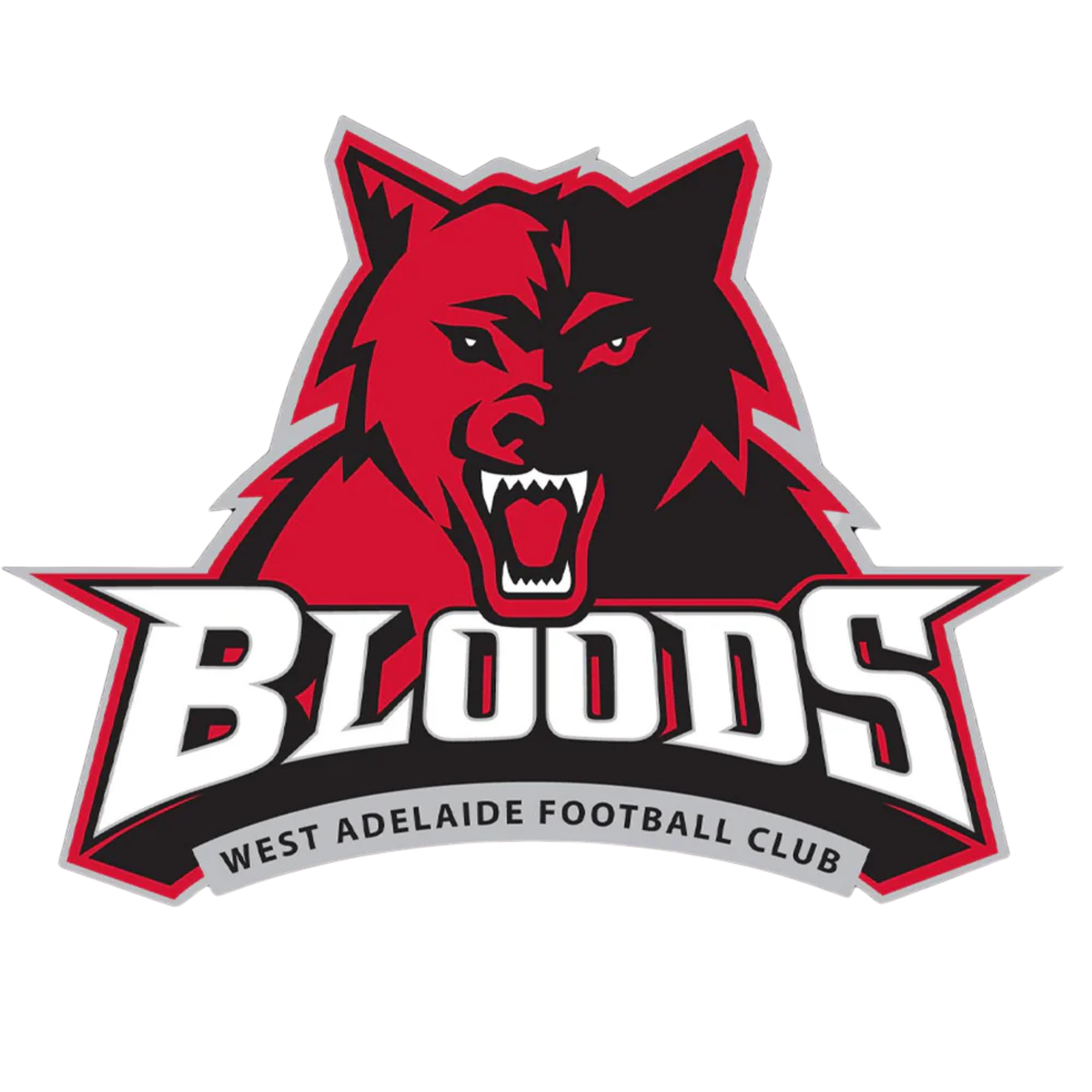 West Adelaide Football Club Players