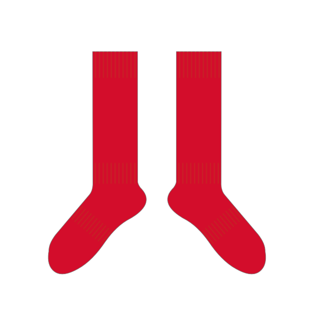 FDJFL Mt Eliza JFC | BA Crew Socks