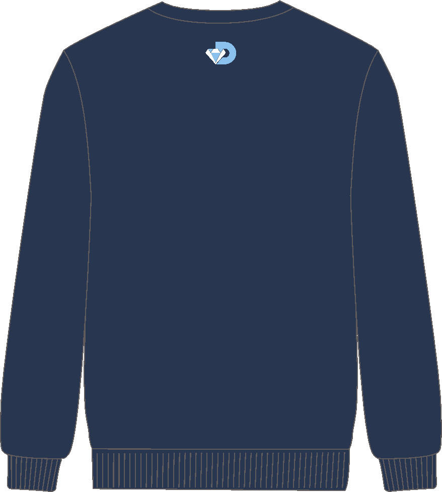 Diamond High Performance | PRE-ORDER | NB DHP Team Crew Jumper