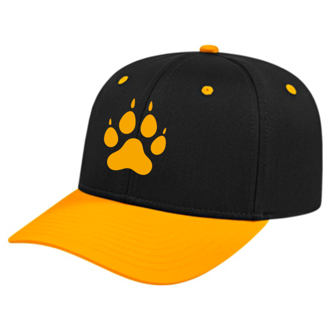 Upwey Ferntree Gully BC | PRE-ORDER | Junior/Supporter Snapback Cap