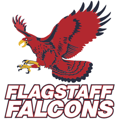 Flagstaff Hill Falcons Football Club