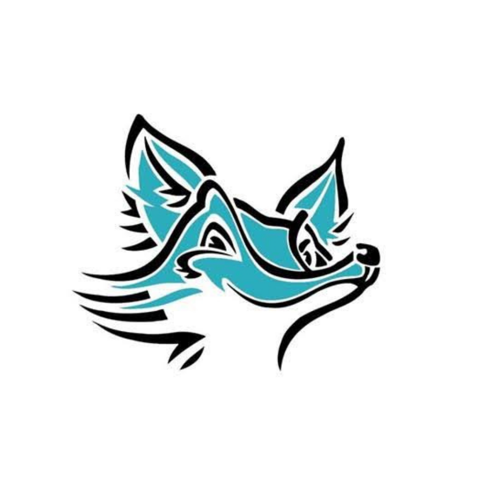 Narre North Foxes Junior Football Club