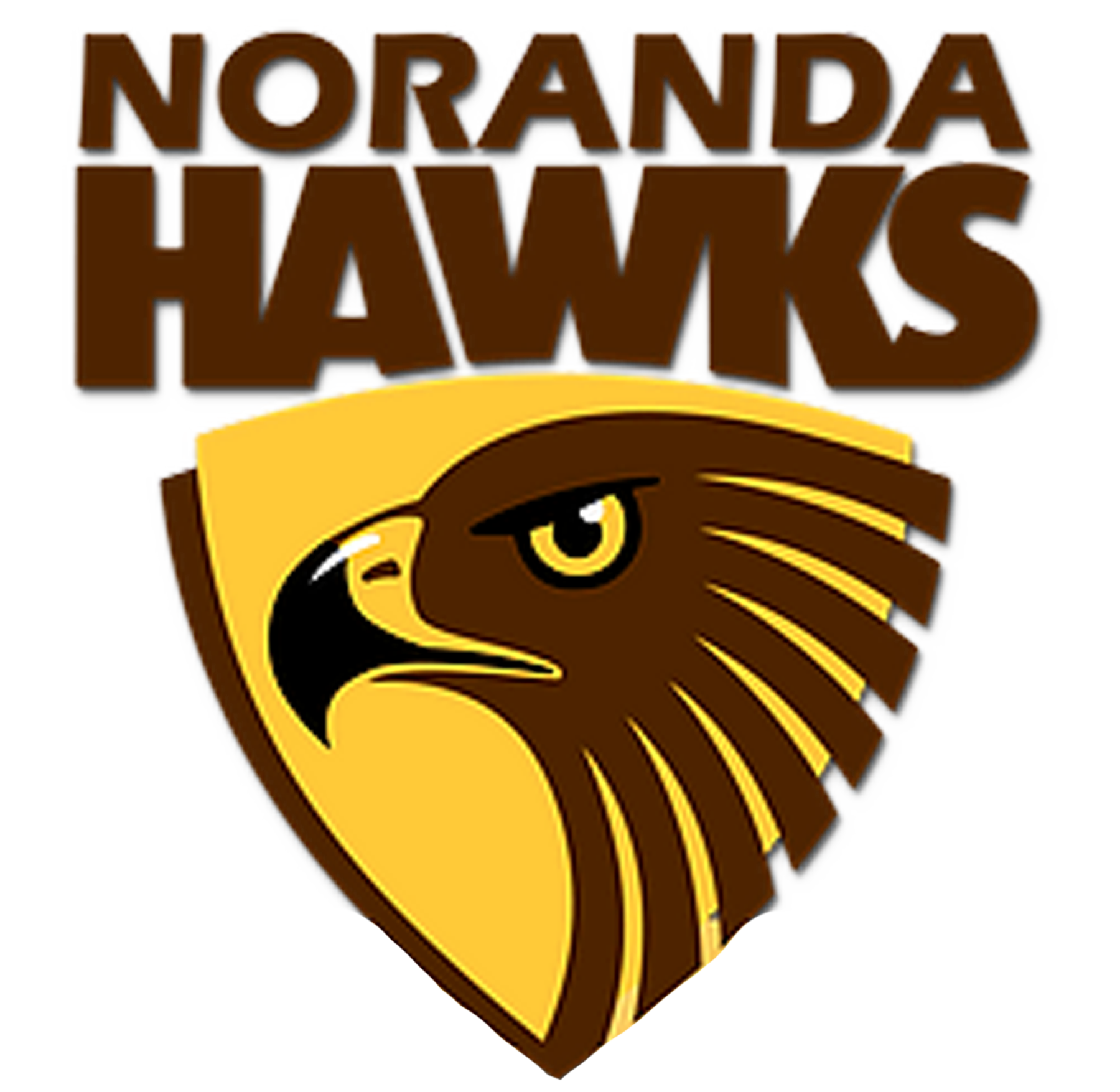 Noranda Football Club
