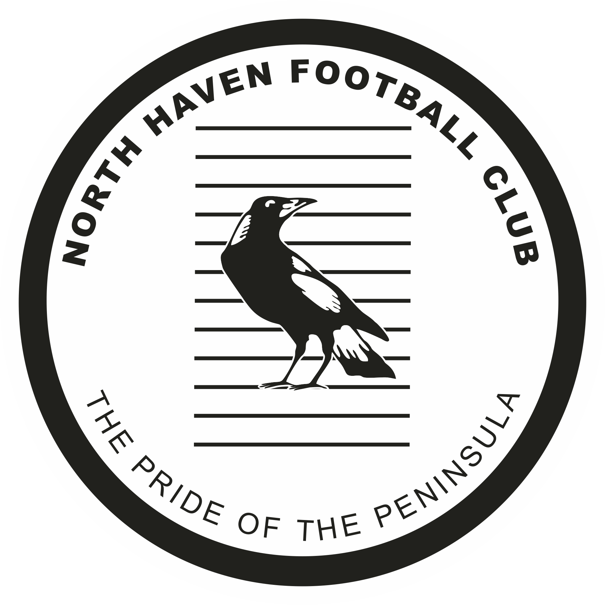 North Haven Football Club