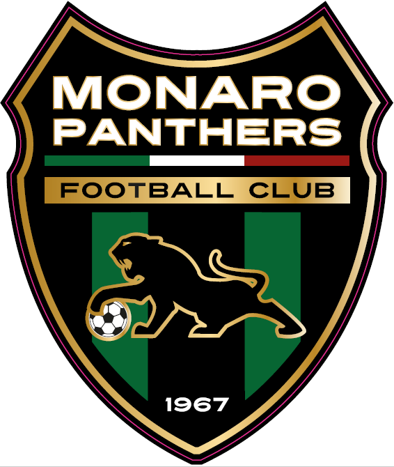 Monaro Panthers Football Club