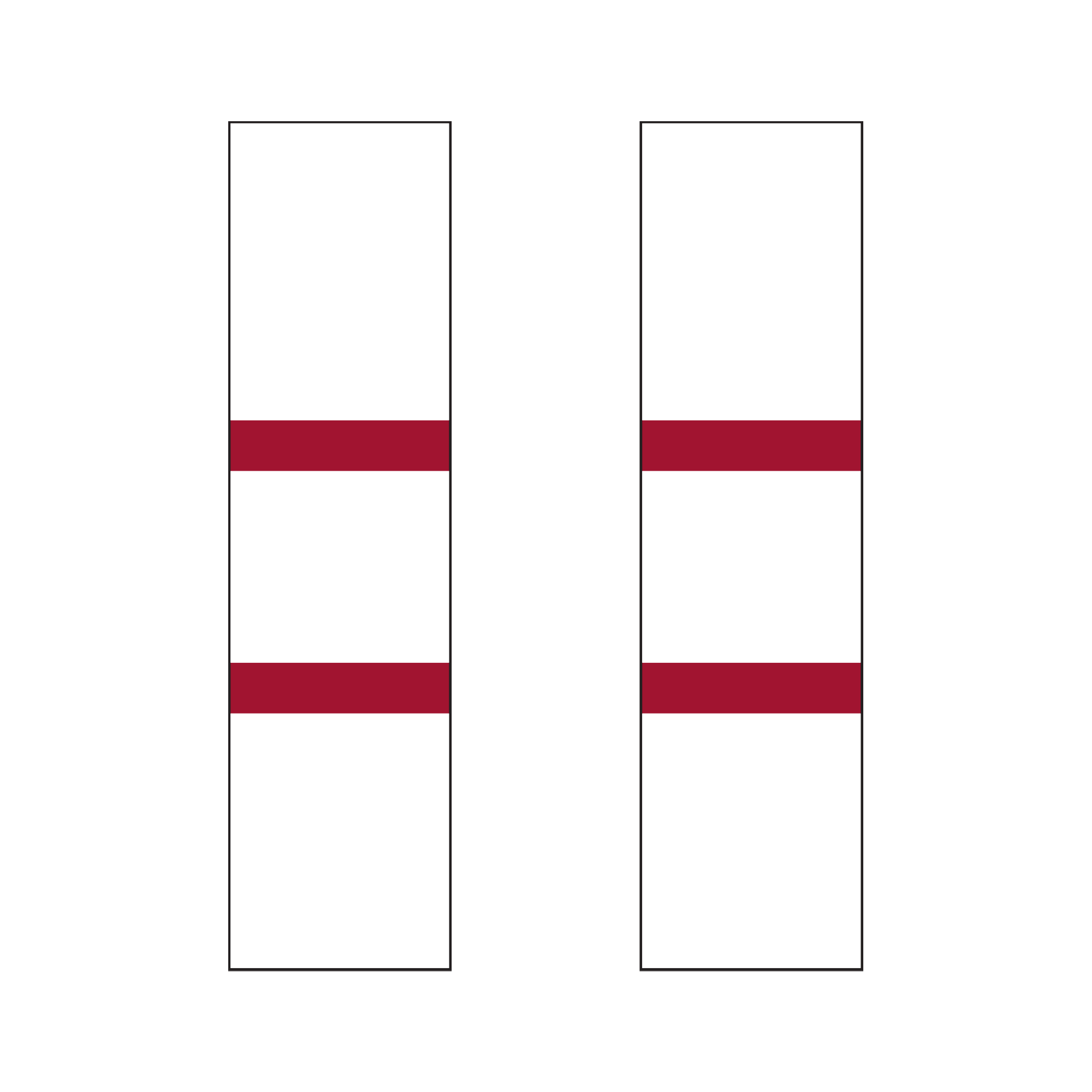 Playford City SC | PRE-ORDER | Home Footless Socks - White