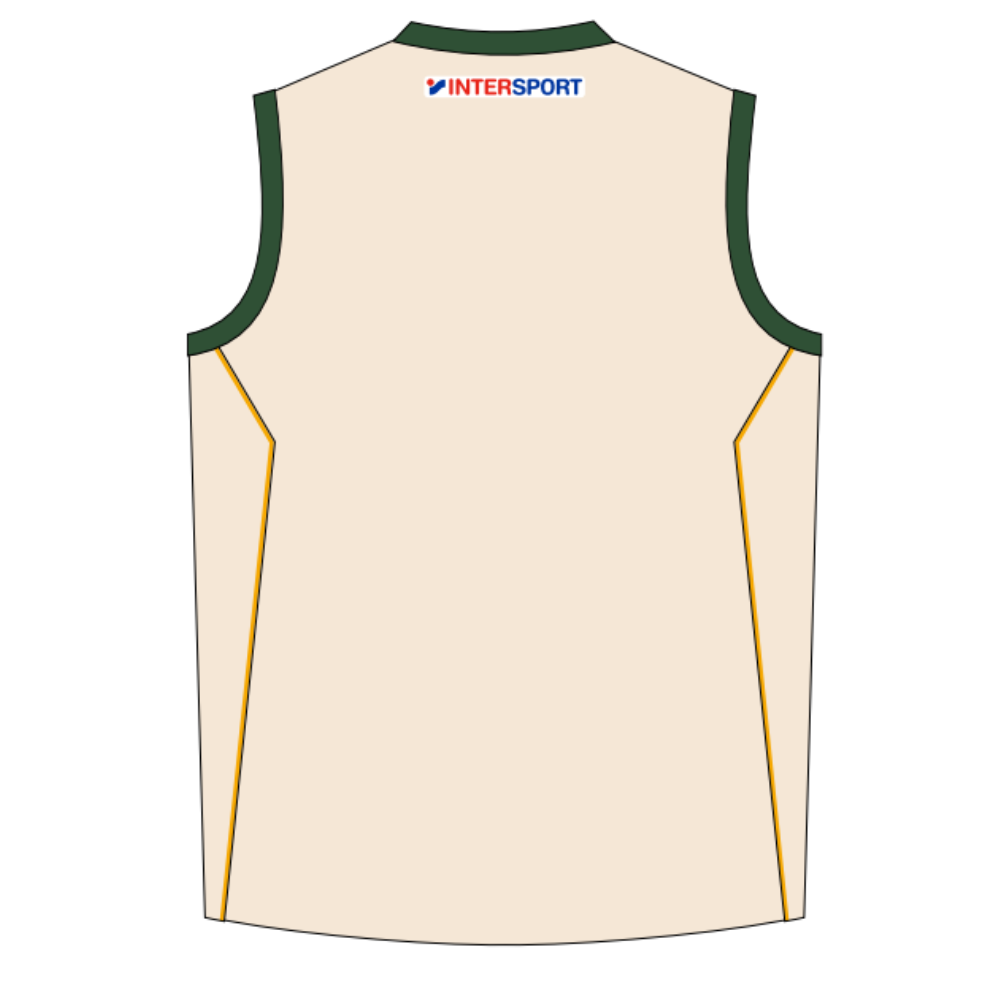 Clyde Cricket Club | PRE-ORDER | NB Unisex Cricket Vest - Two Day